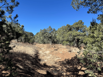 36 Williams Road, Edgewood, NM