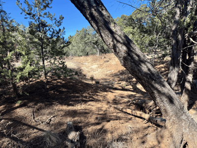 36 Williams Road, Edgewood, NM