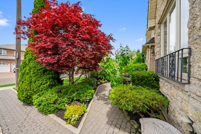 109 Dell Park Ave, North York, ON