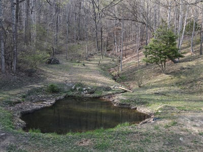 337 Roberson School Rd., Moravian Falls, NC