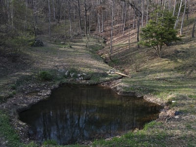 337 Roberson School Rd., Moravian Falls, NC
