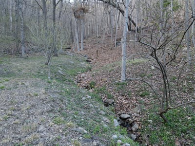337 Roberson School Rd., Moravian Falls, NC