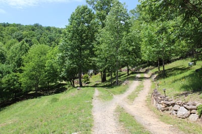 337 Roberson School Rd., Moravian Falls, NC