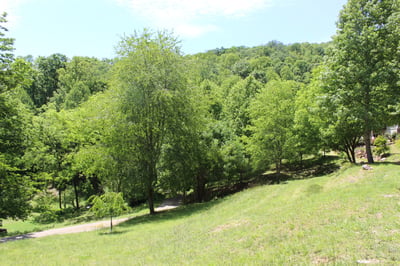 337 Roberson School Rd., Moravian Falls, NC