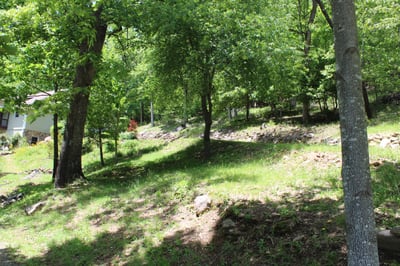 337 Roberson School Rd., Moravian Falls, NC