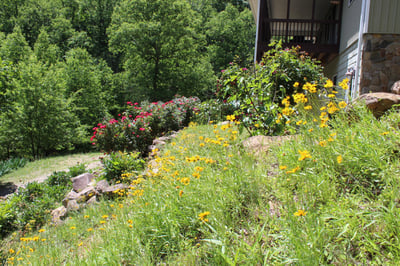 337 Roberson School Rd., Moravian Falls, NC
