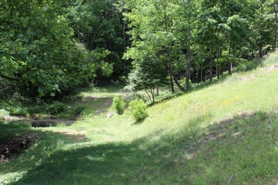 337 Roberson School Rd., Moravian Falls, NC