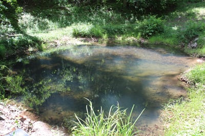337 Roberson School Rd., Moravian Falls, NC