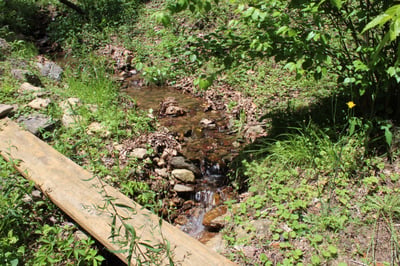 337 Roberson School Rd., Moravian Falls, NC