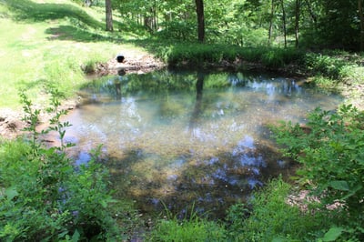 337 Roberson School Rd., Moravian Falls, NC