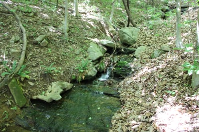 337 Roberson School Rd., Moravian Falls, NC