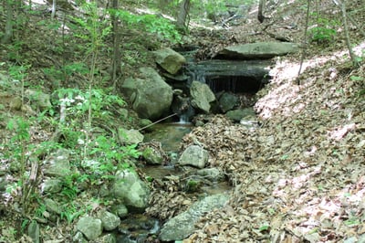 337 Roberson School Rd., Moravian Falls, NC