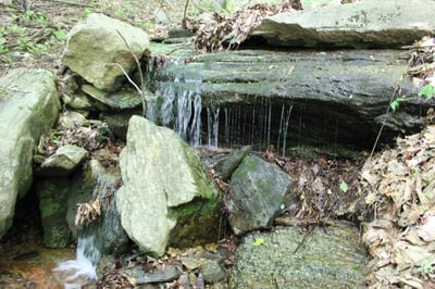 337 Roberson School Rd., Moravian Falls, NC