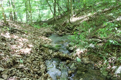 337 Roberson School Rd., Moravian Falls, NC