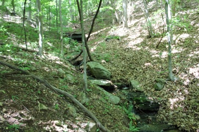 337 Roberson School Rd., Moravian Falls, NC