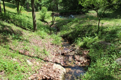 337 Roberson School Rd., Moravian Falls, NC