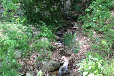 337 Roberson School Rd., Moravian Falls, NC