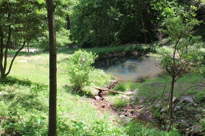 337 Roberson School Rd., Moravian Falls, NC