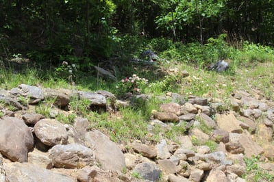 337 Roberson School Rd., Moravian Falls, NC