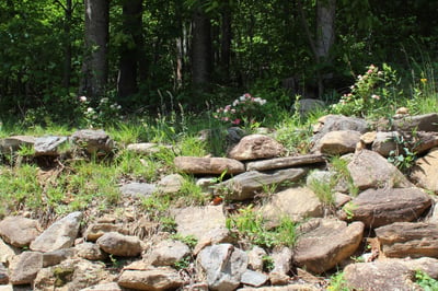 337 Roberson School Rd., Moravian Falls, NC