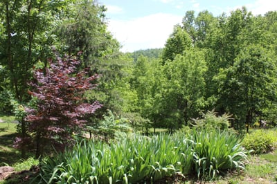337 Roberson School Rd., Moravian Falls, NC