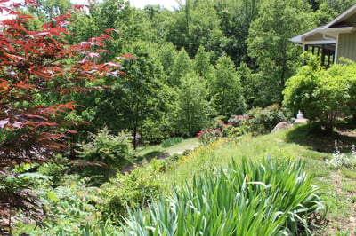 337 Roberson School Rd., Moravian Falls, NC