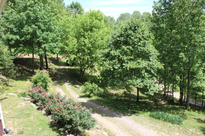 337 Roberson School Rd., Moravian Falls, NC