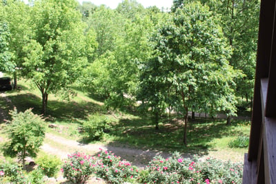 337 Roberson School Rd., Moravian Falls, NC