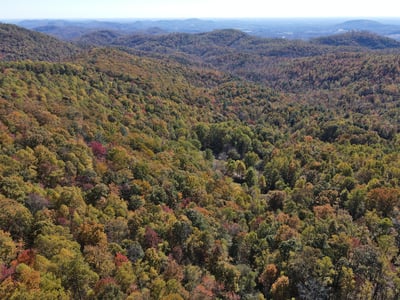 337 Roberson School Rd., Moravian Falls, NC