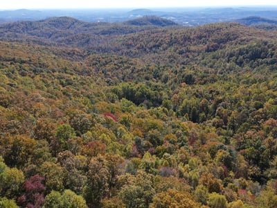 337 Roberson School Rd., Moravian Falls, NC