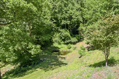 337 Roberson School Rd., Moravian Falls, NC