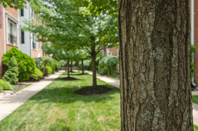 2313 Huntington Station Court, Alexandria, VA