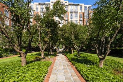 520 John Carlyle Street, 107, Alexandria, VA