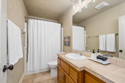 Lower level full bathroom