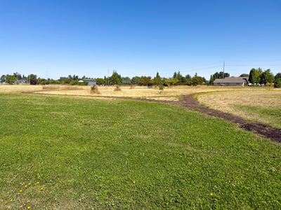 Various paths throughout.