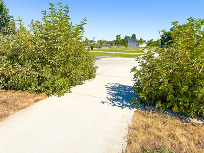 Looking towards the park.