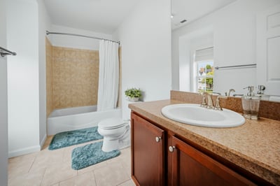 5 Rhodora Terrace, 5, Windsor, CT