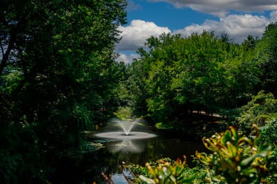5 Rhodora Terrace, 5, Windsor, CT