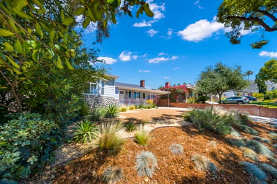 Drought tolerant plantings and drip system