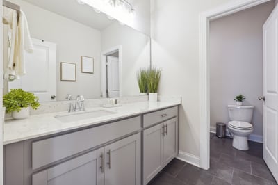 1150 Pennington View Lane, Alpharetta, GA