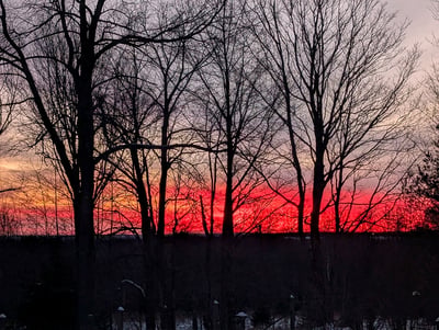 Winter Sunset
