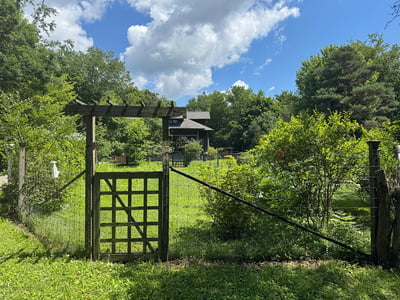 Fenced Garden. Blueberries. Currants. Hazelnut Trees. Veggies. Perennials. Blackberries.