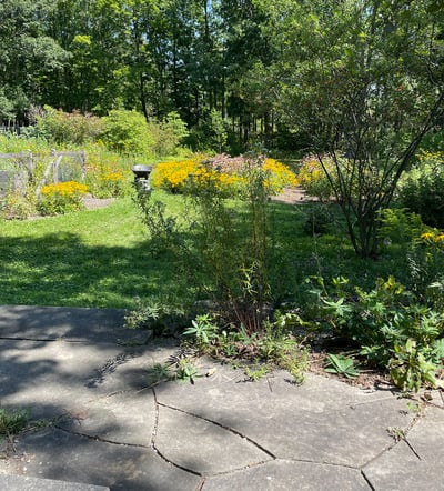 411 Warren Rd, Ithaca, NY