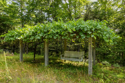 1539 Province Road, Strafford, NH