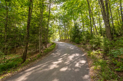 1539 Province Road, Strafford, NH