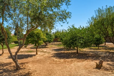 1761 KT Ave, Atwater, CA