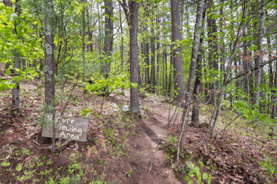 5 North Meadow Rd - SOLD!, Amherst, NH