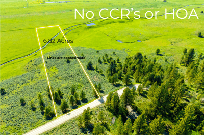 TBD FINLANDIA Tax Lot 6&7 12.12 Acres, McCall, ID