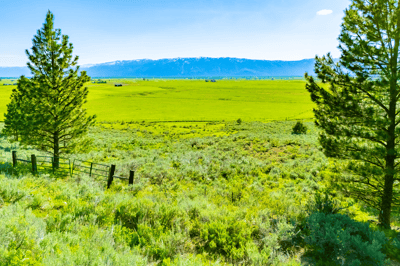 TBD FINLANDIA Tax Lot 6&7 12.12 Acres, McCall, ID
