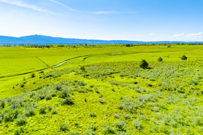 TBD FINLANDIA Tax Lot 6&7 12.12 Acres, McCall, ID